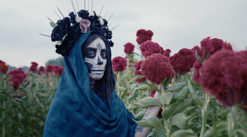 Wat is een Film Pilot?