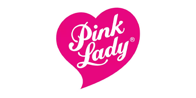 PIN content video's laten maken videobrouwerij