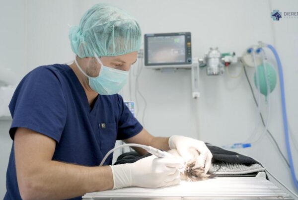 Dierenkliniek Heerhugowaard - Bedrijfsvideo 2025-2025